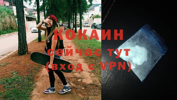 спайс Дмитриев